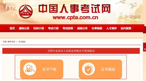 2023年重庆社会工作者职业水平考试证书查询与下载全攻略