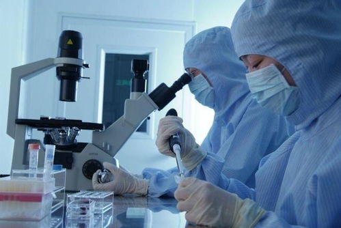 化学制药板块迎来爆发风口，这五家龙头公司有望把握技术升级大机遇